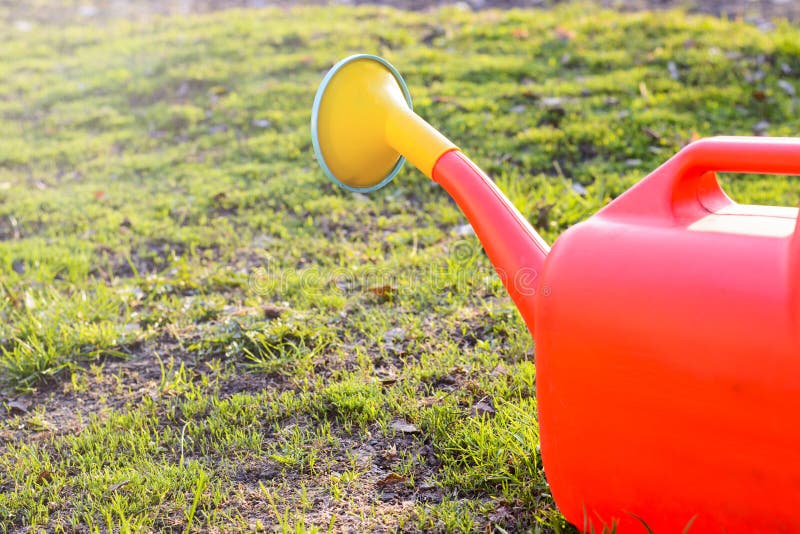 Red Garden Watering Can on Green Grass, in the Sun Stock Image Image