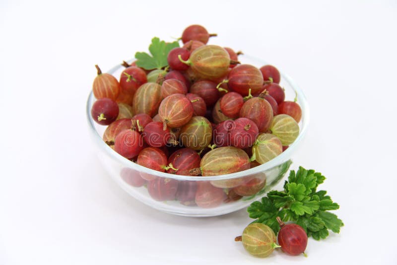 Red gooseberries royalty free stock image