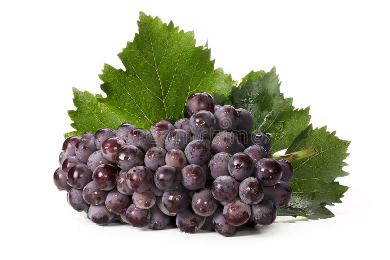 Red grape