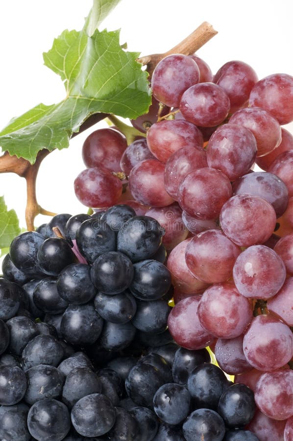 Red grape food closeup stock image. Image of macro, organic 6716561