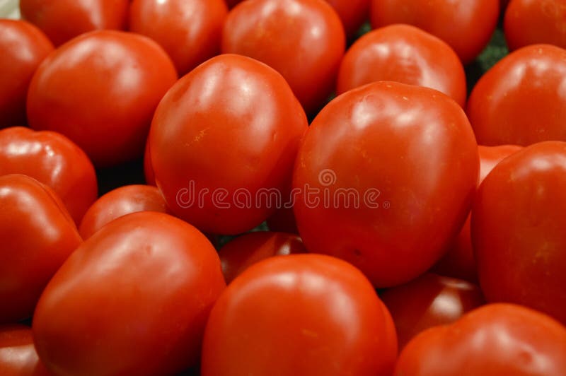 Red Grape Tomatoes at Market Stock Image Image of green, brussle