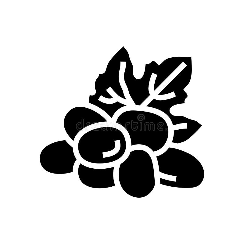 Red grape wine glyph icon vector illustration royalty free illustration