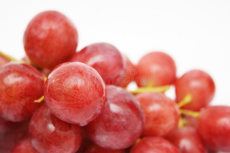 Red Grapes