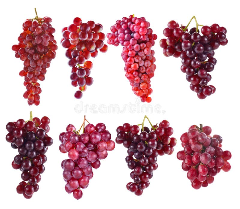 Red Grapes Isolated on White Background Stock Photo - Image of isolated ...