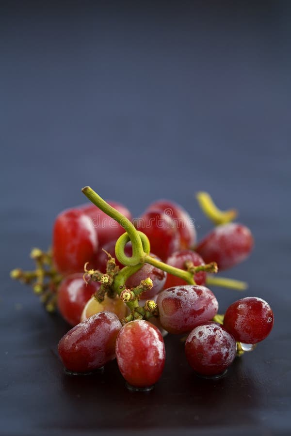 Red Grapes on the vine