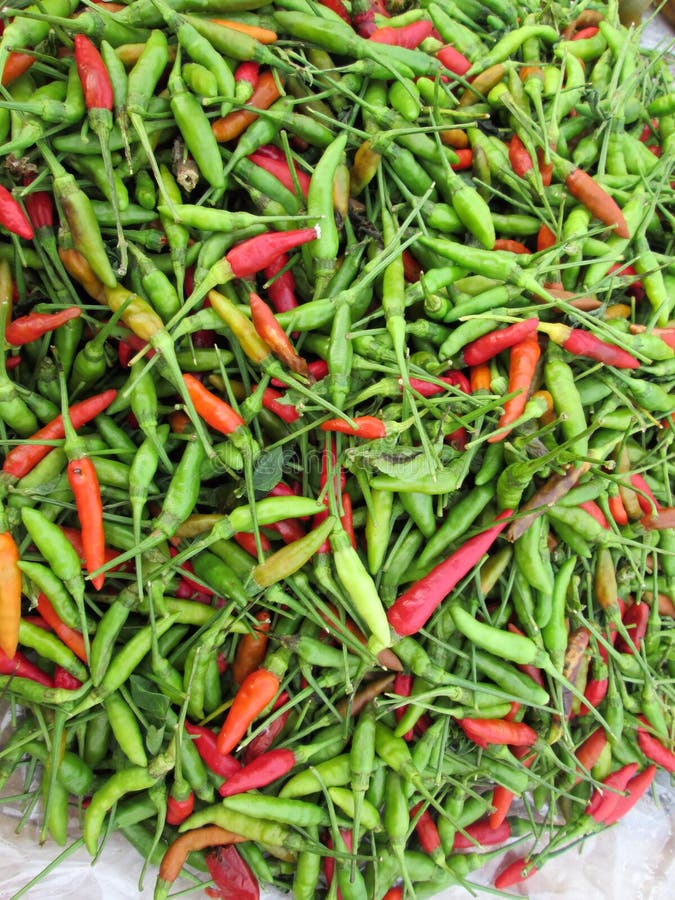 Red and green chili stock photo. Image of chilli, healthy 41064668