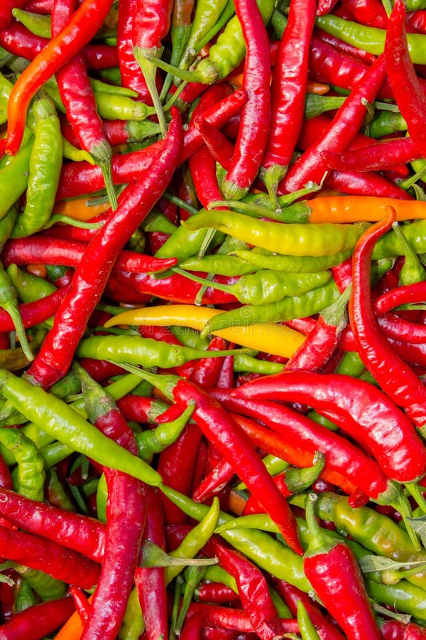 Pile Of Green Chili Peppers Stock Image Image of juicy, fresh 33728395