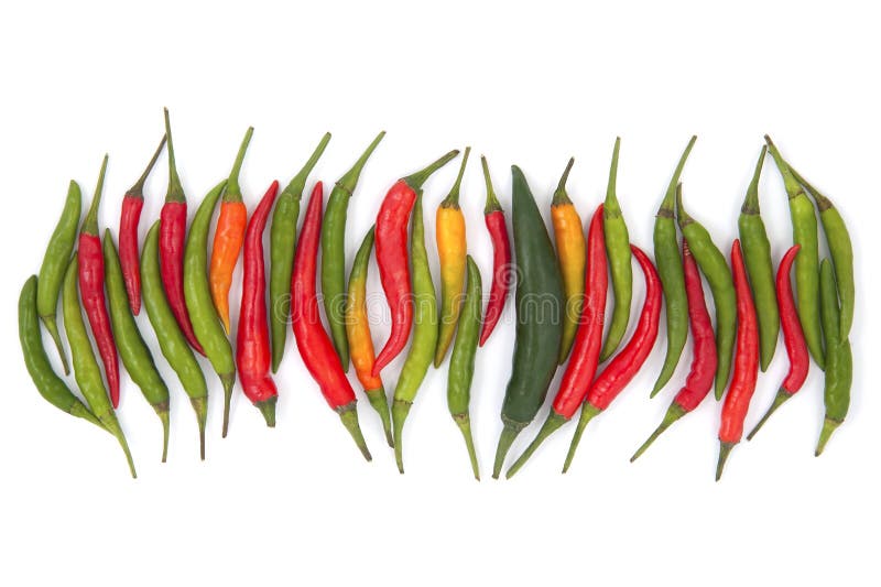 Red and Green Chili Peppers on a White Background. Stock Photo Image