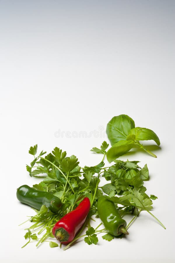 Red and Green Chillies with Parsley and Basil stock photography