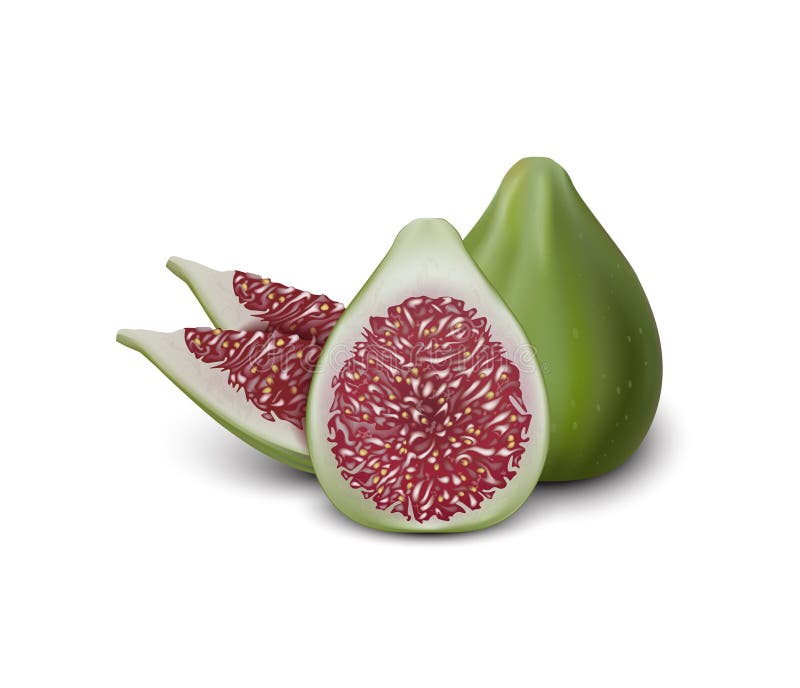 Red and Green Fig. Realistic 3d Figs Slices. Detailed 3d Illustration