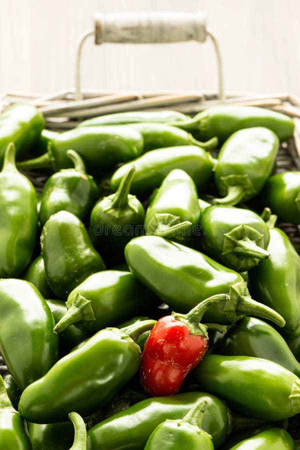 Red and Green Jalapeno Chili Pepper Stock Image Image of spice