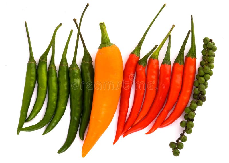 Red and Orange Chili Peppers. Stock Photo Image of orange, peppers