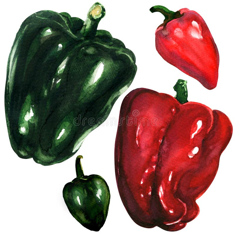 Red and green peppers on white background stock illustration Red and green peppers on white background stock illustration