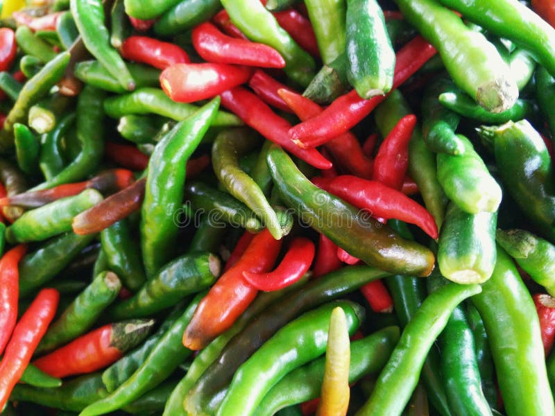 Red and green spicy chilies in the market. stock image