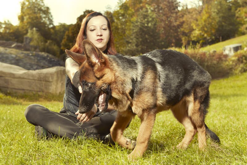 Young Red Hair Woman with Her Six Months Old Puppy of German Shepherd Stock  Image - Image of colored, green: 158851719