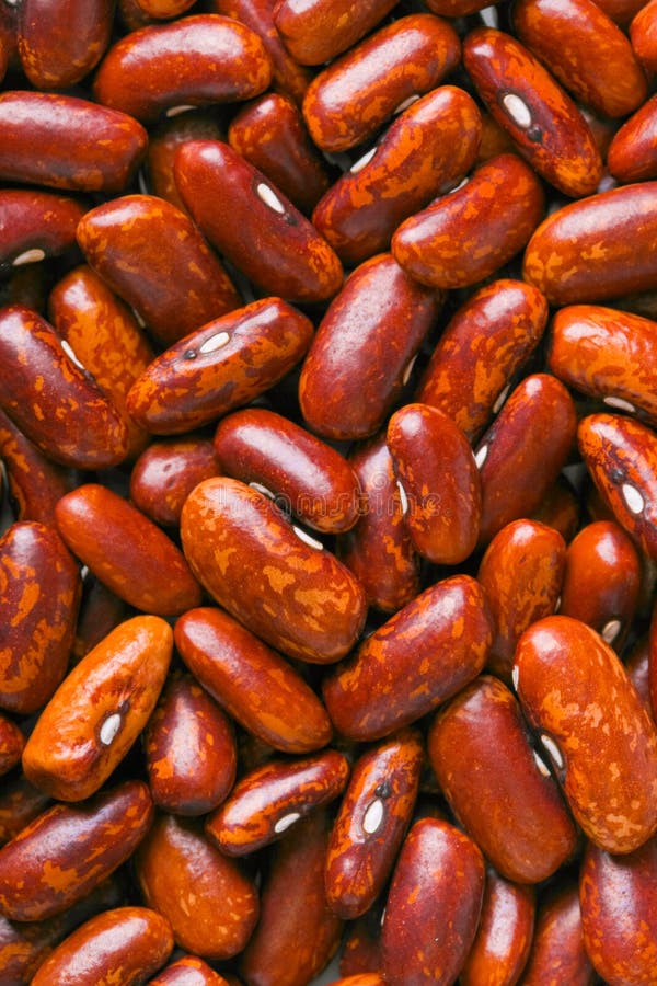 Haricot beans stock photo. Image of healthy, macro, cuisine 15275838