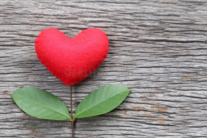 Red heart placed on a old wooden table in connect with branches