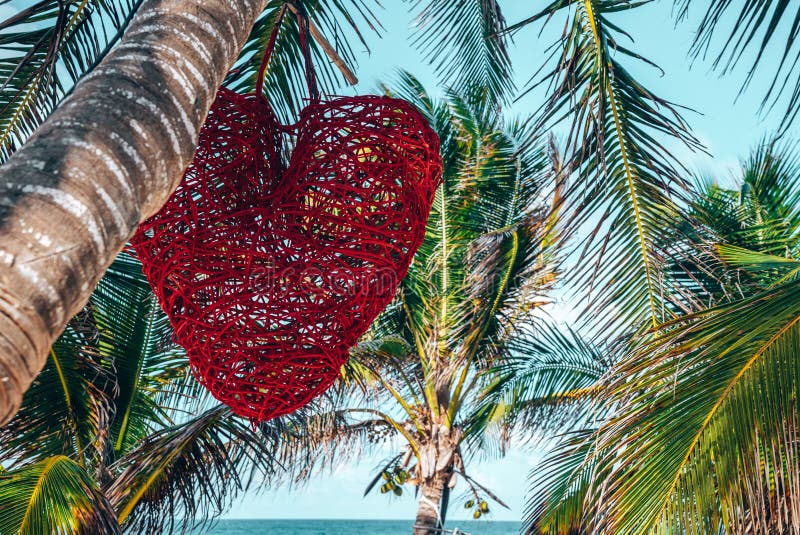 Red Heart Shape Decor Hanging on Coconut Tree in Front of Sea Stock Photo -  Image of nature, environment: 229855910