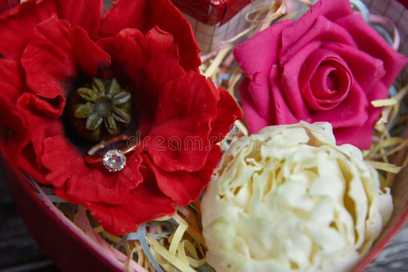 Edible Flower Red Poppy Flower Made from Chocolate. an Original Dessert. Stock Photo Image of