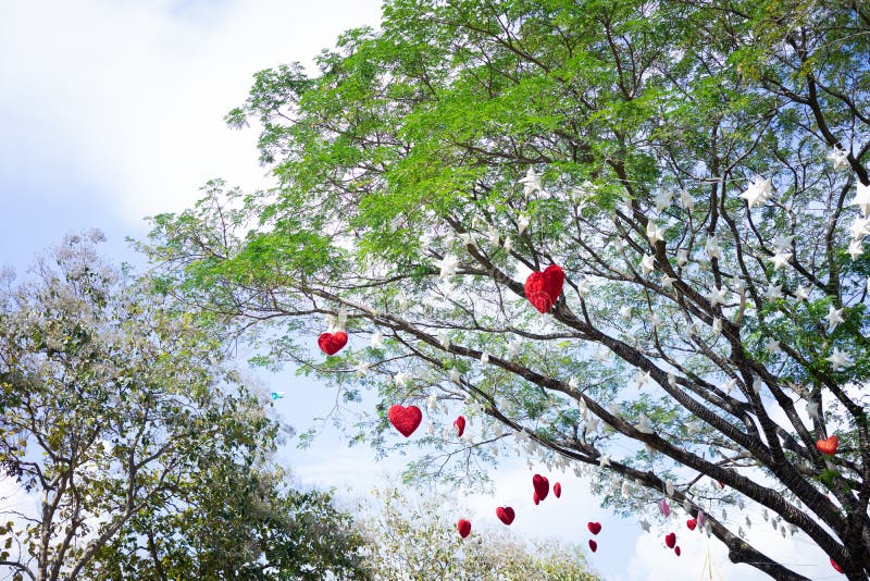 red hearts floating on trees on a bright day of love