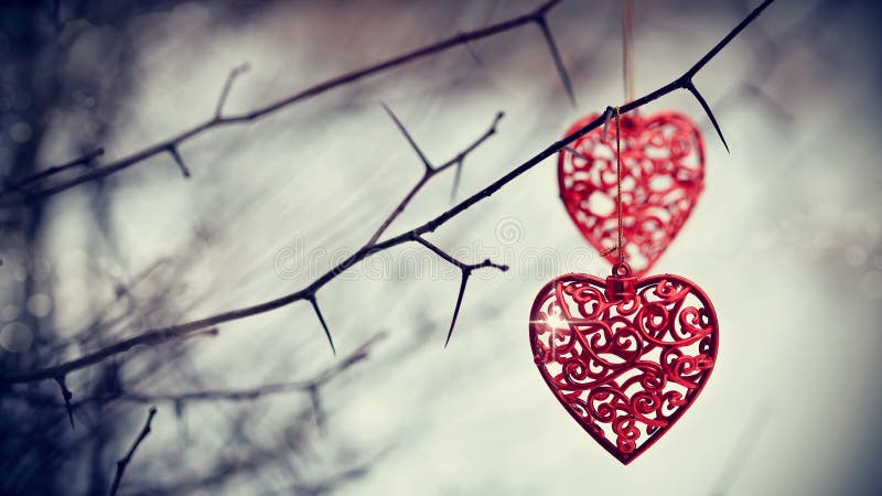 Red hearts on prickly branches. Love symbol.