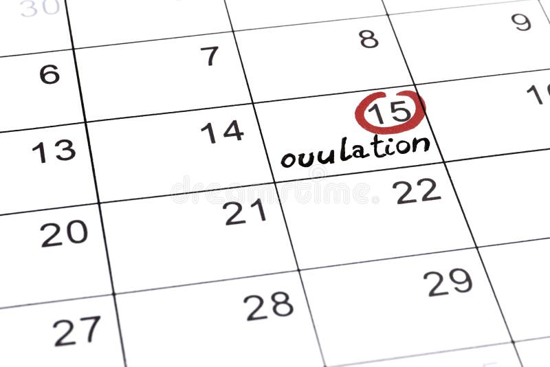 Ovulation Calendar Stock Illustrations 250 Ovulation Calendar Stock Illustrations Vectors Clipart Dreamstime calendrier ovulation 2021