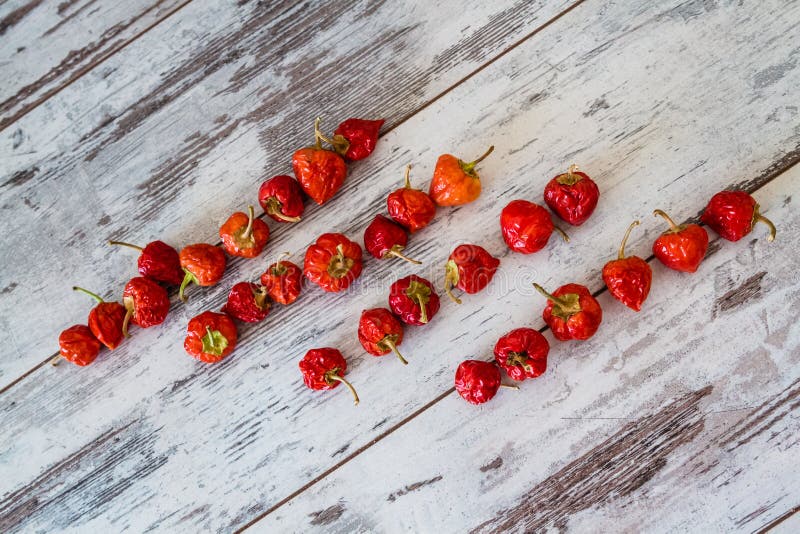 Red Hot Cherry Peppers stock photo. Image of pepper, chili 46994238