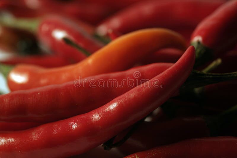 Red hot Chili stock photo. Image of chili, colourful, spicy 531496