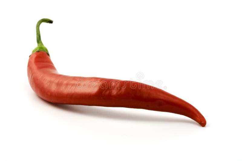 Red hot chili stock photo. Image of vegetable, chily, chili 7896620