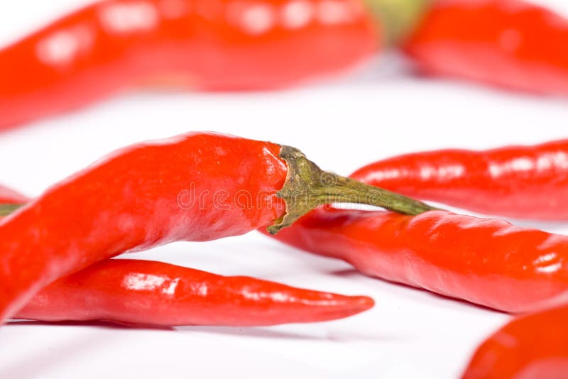 Red hot chili pepper