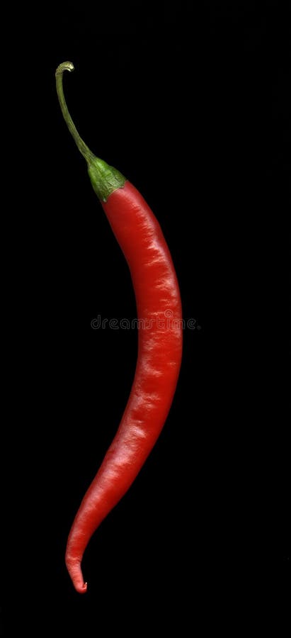 Red hot chili pepper