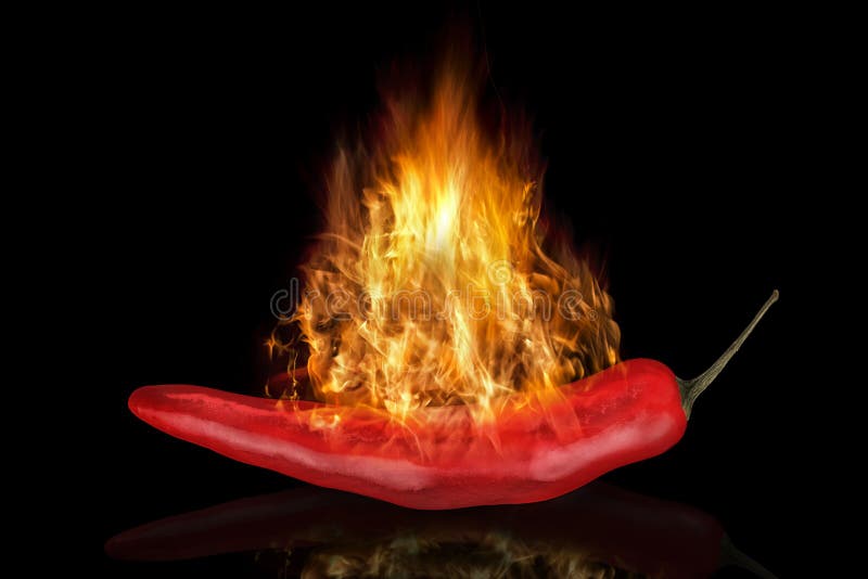 Red hot chili pepper in fire on a black background.