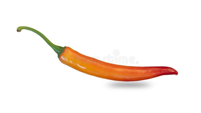 Red hot chili pepper