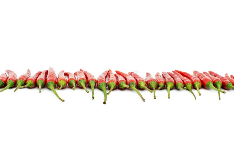 Red hot chili peppers line stock photo. Image of ingredient 48631056