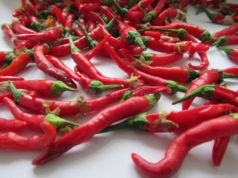 Red Hot Chili Peppers Wallpaper Stock Image - Image of picked, white: 168782935 Red Hot Chili Peppers Wallpaper Stock Image - Image of picked, white: 168782935