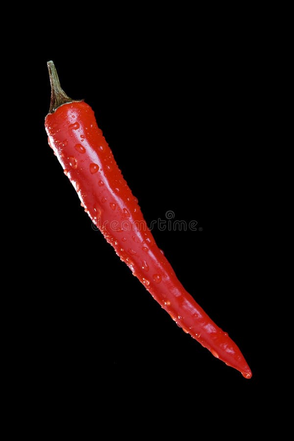 Red hot chilli pepper stock image. Image of chile, pepper 13568263