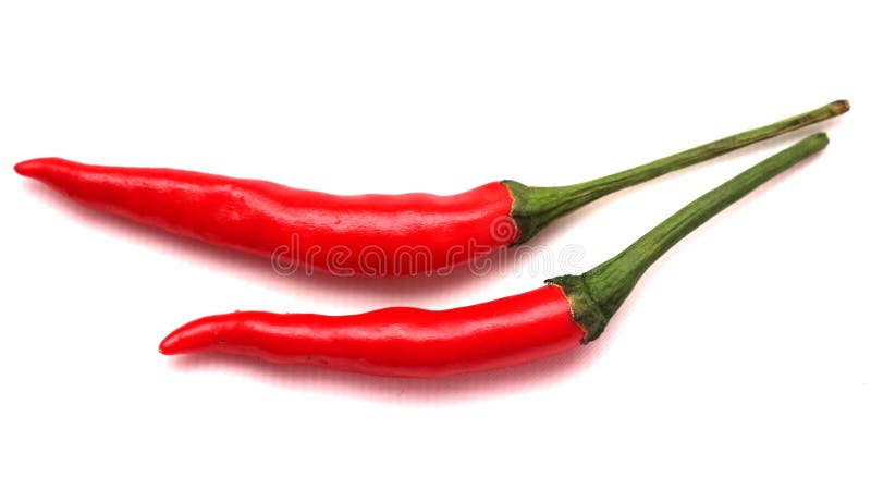 Red hot chily stock photo. Image of nature, cooking, five - 29533266