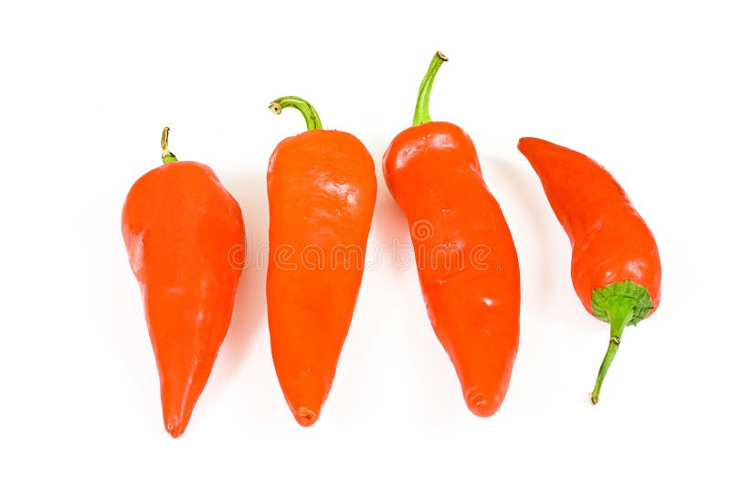 Red hot jalapeno pepper stock image. Image of cook, green 3015061