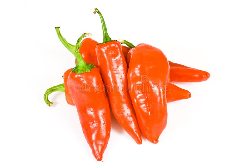 Red hot jalapeno pepper stock image. Image of food, mexico 3015433