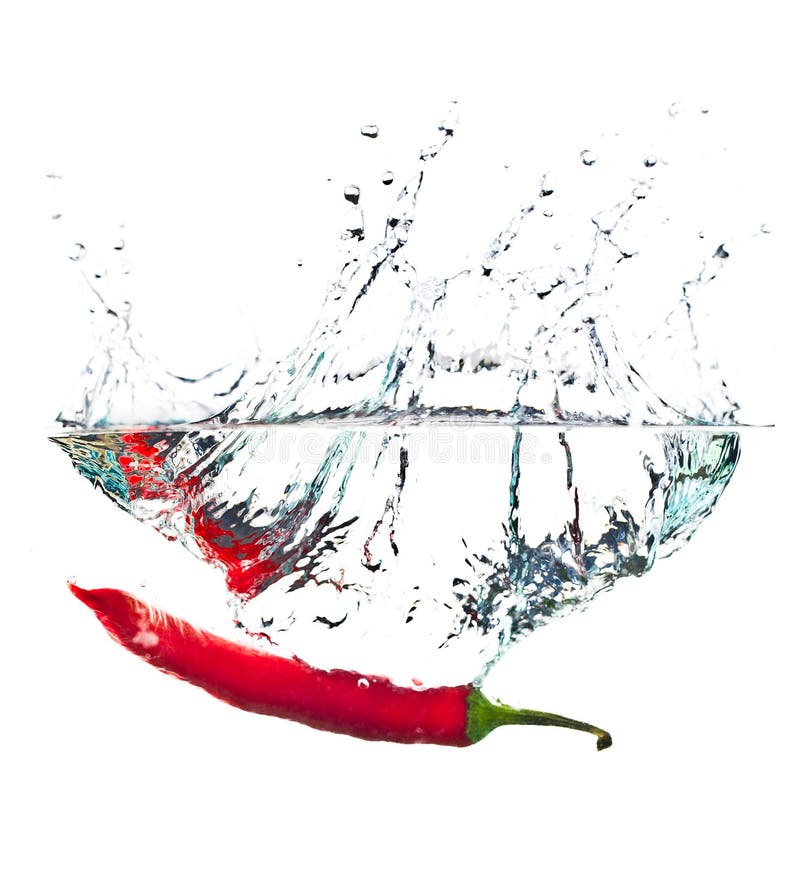 Red hot paprika in water stock photo. Image of fresh 14700284