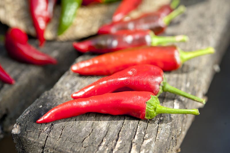 Red Hot Chili Pepper in Summer Sunlight Stock Image Image of chili, sauce 32229177