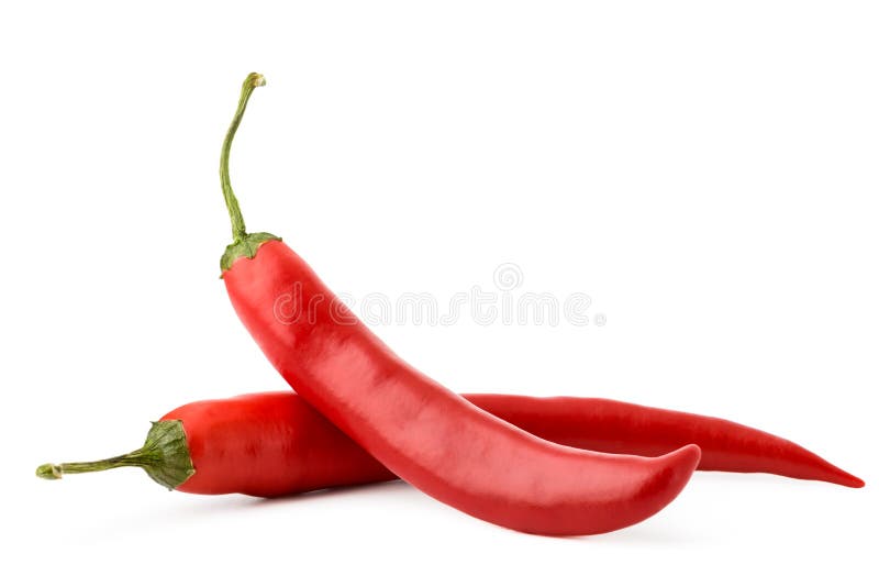 Red hot pepper on white background, isolated. royalty free stock images Red hot pepper on white background, isolated. royalty free stock images