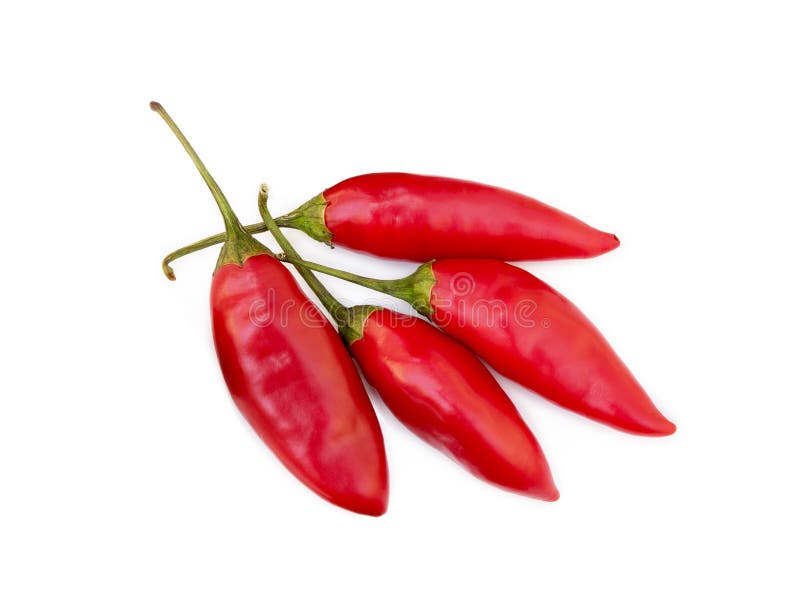 Red hot peppers stock photo. Image of ingredient, peppers 160572462