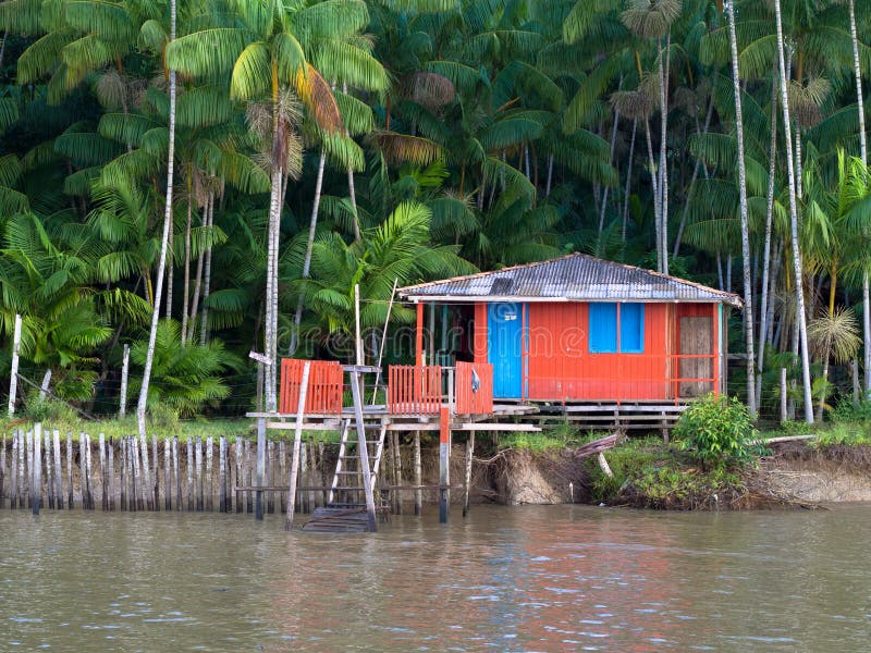 Amazon Typical Stilt House (the Amazonia) Stock Image Image of