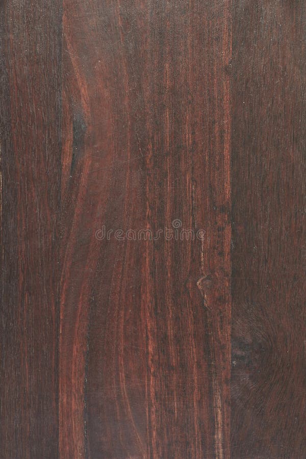 699 Jarrah Stock Photos Free & RoyaltyFree Stock Photos from Dreamstime
