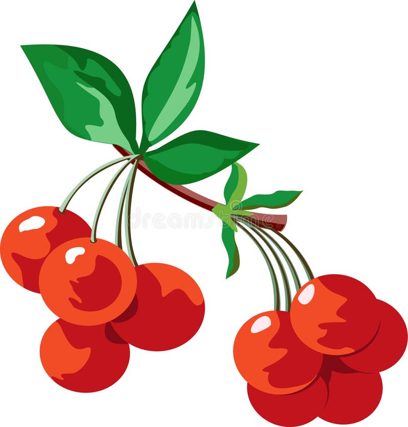 Red juicy ripe cherries