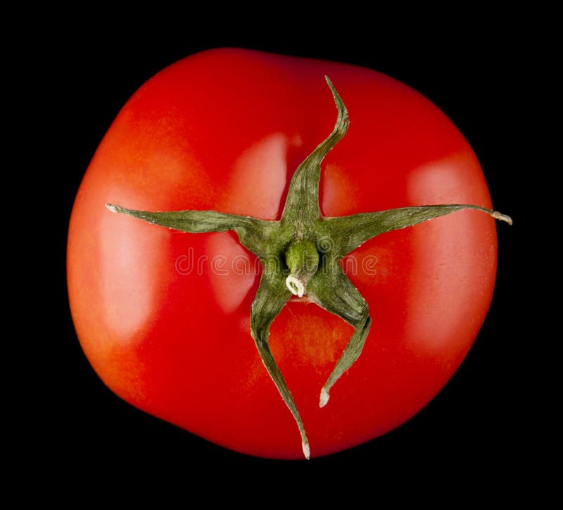 Red and juicy tomatoes on a black background