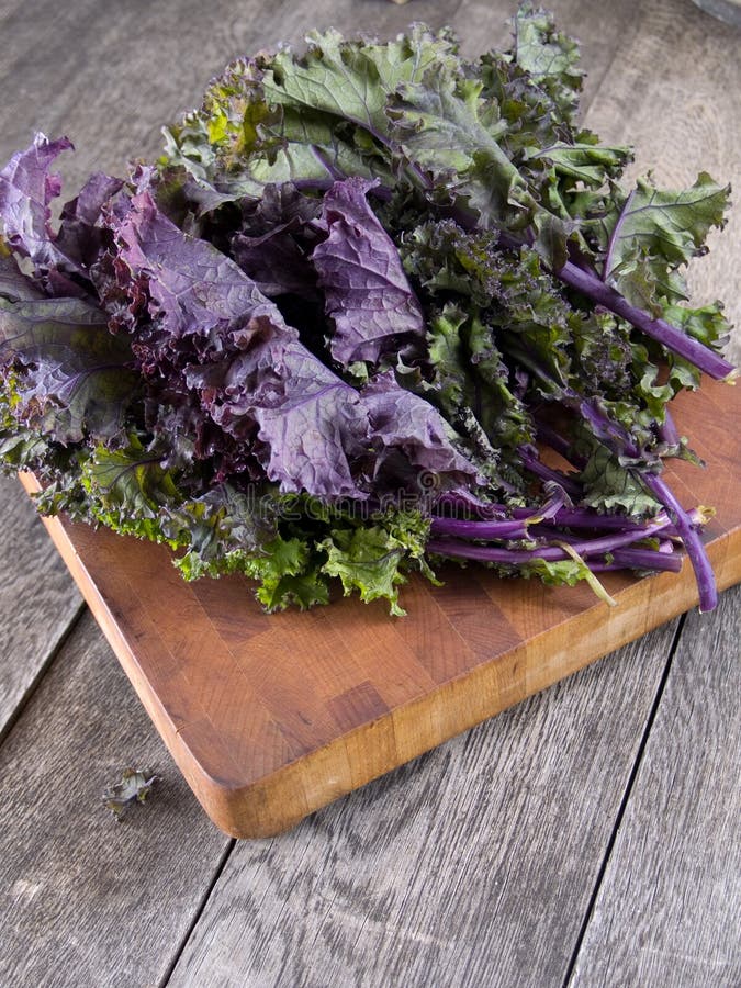 Red kale stock photo. Image of cabbage, rustic, purple 7075808