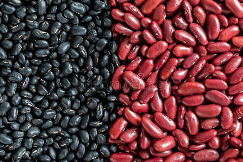 2,262 Black Kidney Bean Plant Stock Photos Free & RoyaltyFree Stock