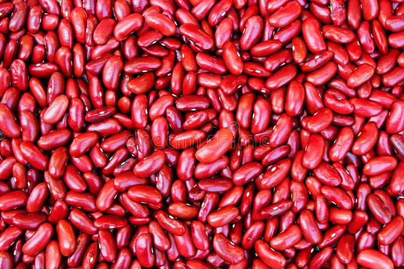 Red kidney bean on white